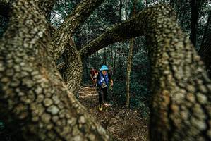 BIB: 
                            <button type="button" onclick="openModal(25703544)" class="btn btn-primary btn-sm float-right btn-popup" data-toggle="modal" data-target=".modal-high-quality">
                        <i class="fas fa-shopping-cart"></i> Add to Cart
                    </button>
                                            <button type="button" onclick="isThisMe(25703544, true)" class="btn btn-success btn-sm float-right btn-popup btn-isme hidden" data-toggle="tooltip" data-placement="bottom" title="นี่คือรูปของคุณใช่ไหม คลิกที่นี่เพื่อเอาเข้าอัลบั้ม">
                        <i class="fas fa-plus"></i> Add to album
                    </button>
                    <button type="button" onclick="isThisMe(25703544, false)" class="btn btn-warning btn-sm float-right btn-popup btn-isnotme hidden">
                        <i class="fas fa-ban"></i> Remove from album
                    </button>